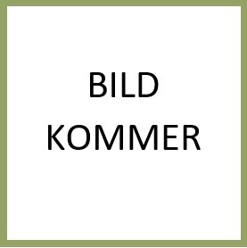 bild_kommer
