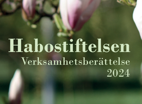 verksamhetsberättelse 2024